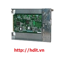 IBM 81Y4546 ServeRAID M5100 Series RAID 6 Upgrade for IBM System x