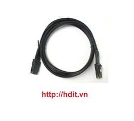 Cable 8087 to 8087 use for Raid Card