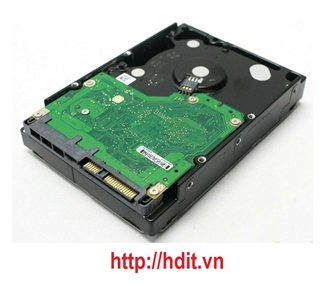 Ổ cứng HDD HP 300gb 15k SAS 3.5