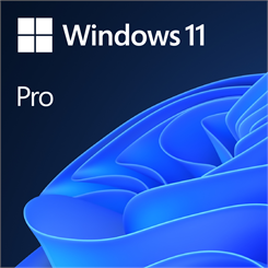 Phần mềm bản quyền Windows GGWA - Windows 11 Pro - Legalization Get Genuine